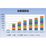 晋州如何防止SEO关键词排名下降